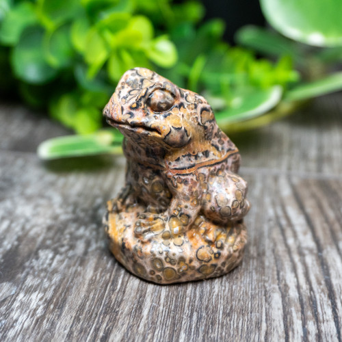 Leopard Skin Jasper Frog Medium