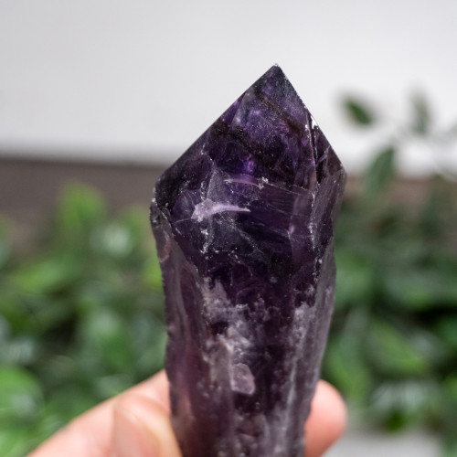 A+ Amethyst Scepter #15