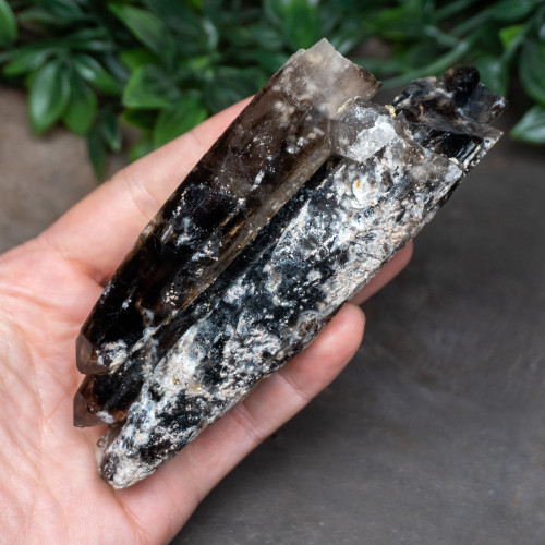 Raw Smoky Quartz Points With Zircon