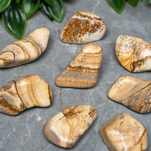 XL Picture Jasper Tumbled