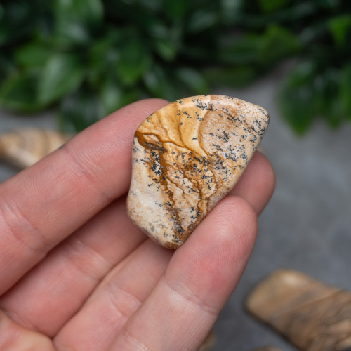 XL Picture Jasper Tumbled