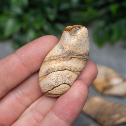 XL Picture Jasper Tumbled