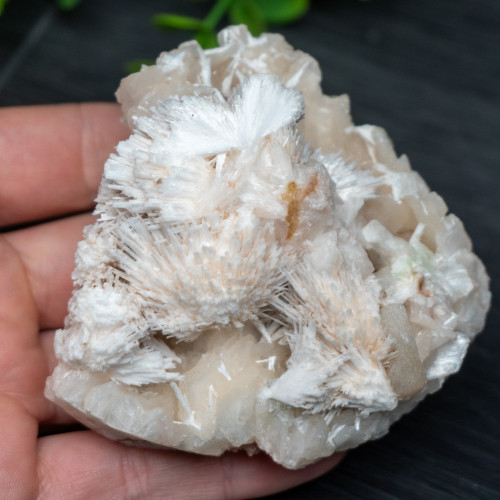 Stilbite & Scolecite #1