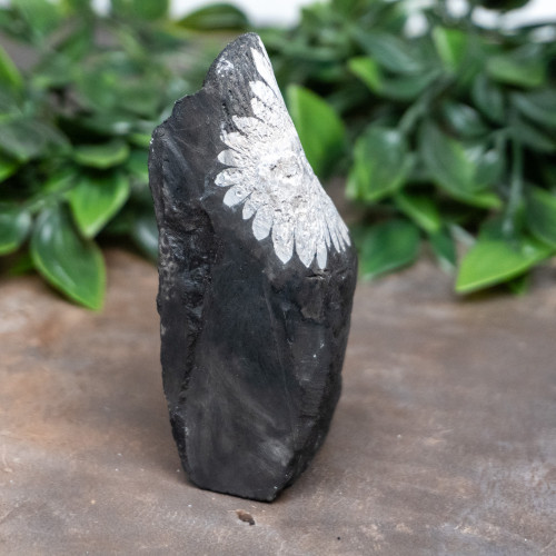 Chrysanthemum Stone #1