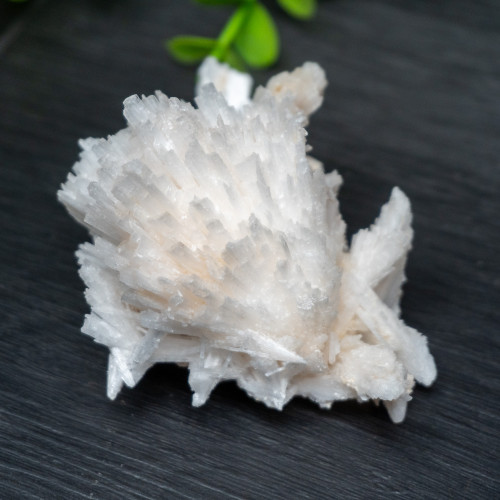 Raw Scolecite #3