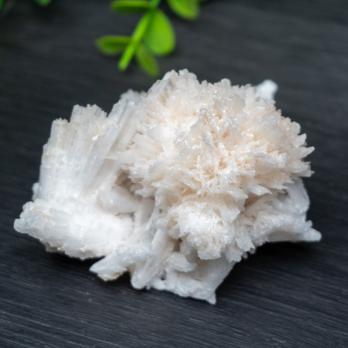 Raw Scolecite #3