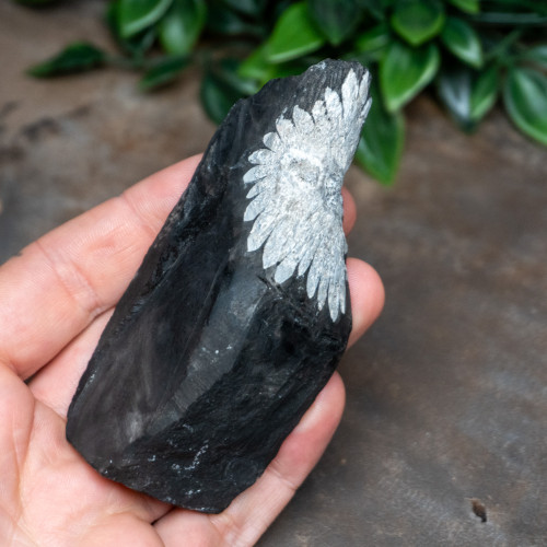 Chrysanthemum Stone #1