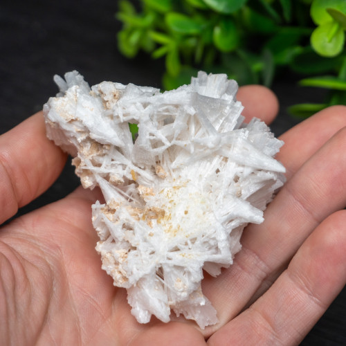 Raw Scolecite #3