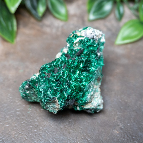 Raw Congo Malachite #6