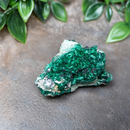 Raw Congo Malachite #6