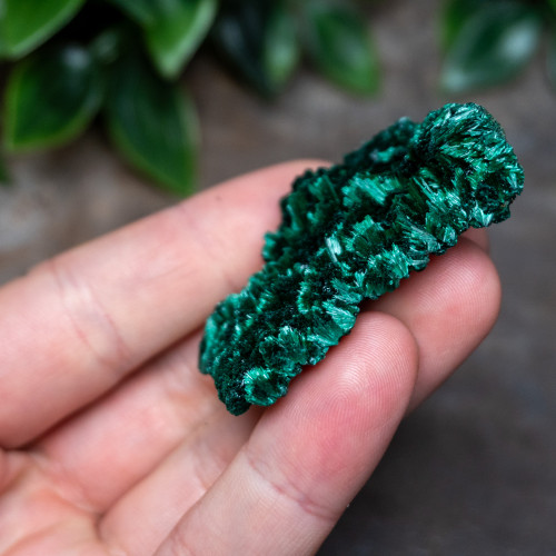 Raw Congo Malachite #4