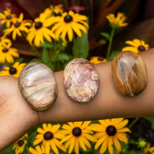 Petrified Wood Palmstone