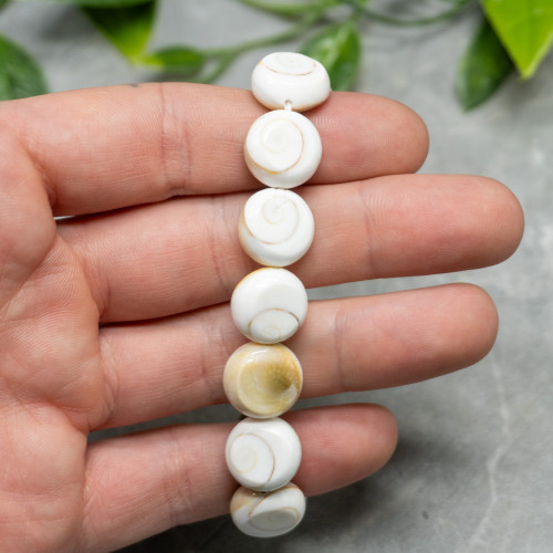 Shiva Shell Bracelet