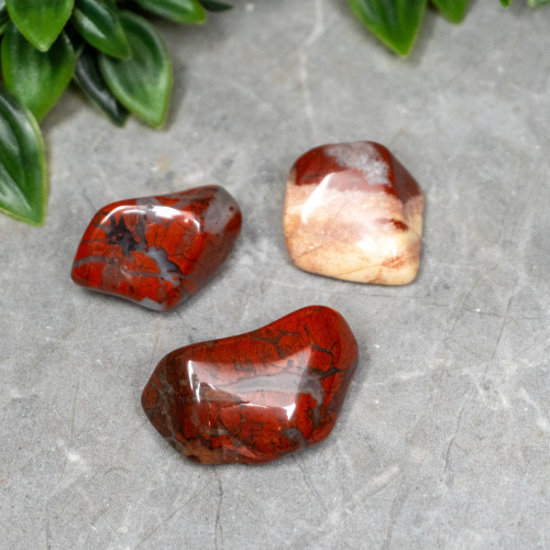 Brecciated Jasper Tumbled