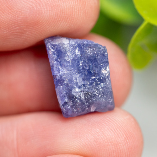 Tanzanite Raw #1