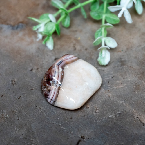 Pilbara Agate Polished #26