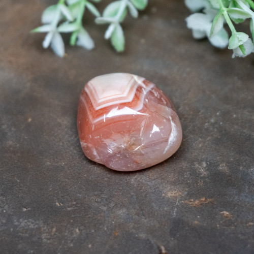 Pilbara Agate Polished #22