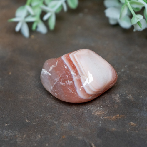 Pilbara Agate Polished #22