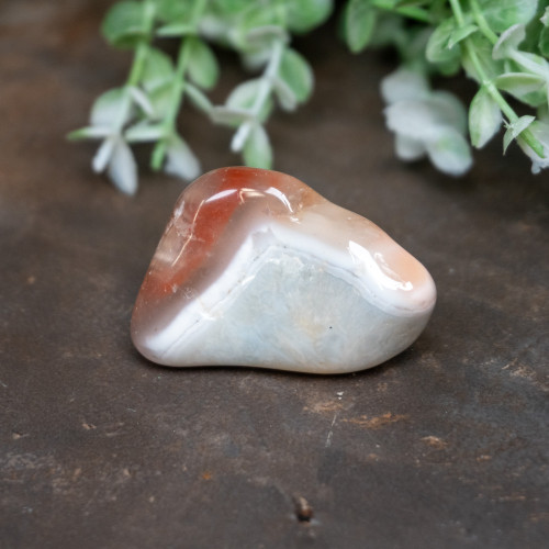 Pilbara Agate Polished #21