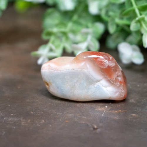 Pilbara Agate Polished #21