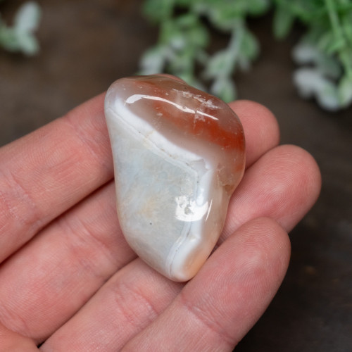 Pilbara Agate Polished #21