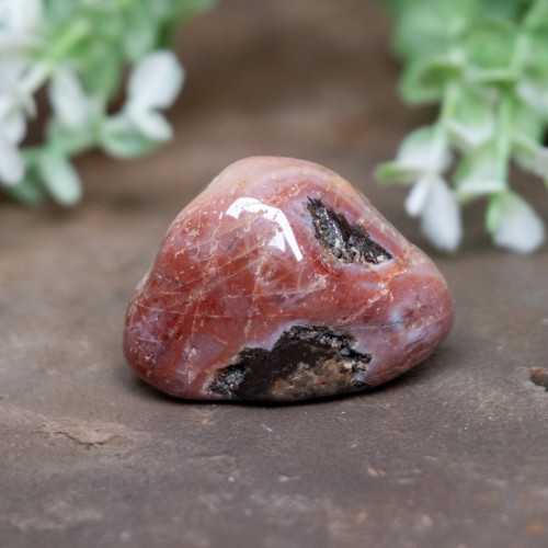 Pilbara Agate Polished #19