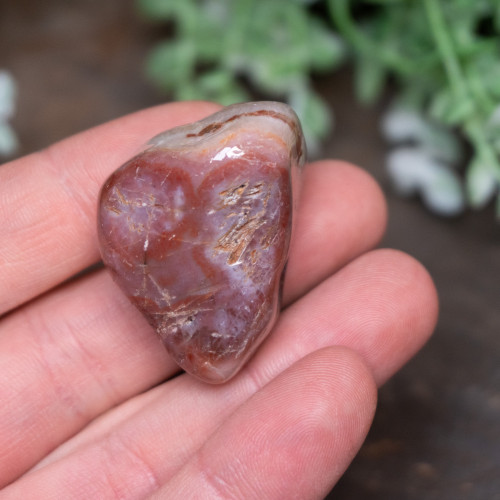 Pilbara Agate Polished #19