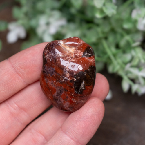 Pilbara Agate Polished #10