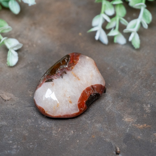 Pilbara Agate Polished #10