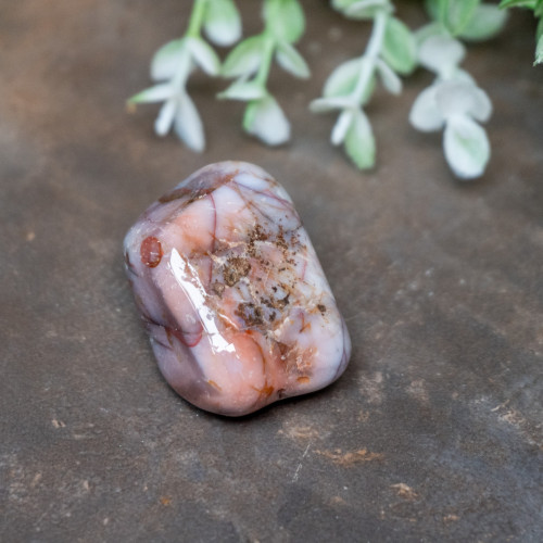 Pilbara Agate Polished #7