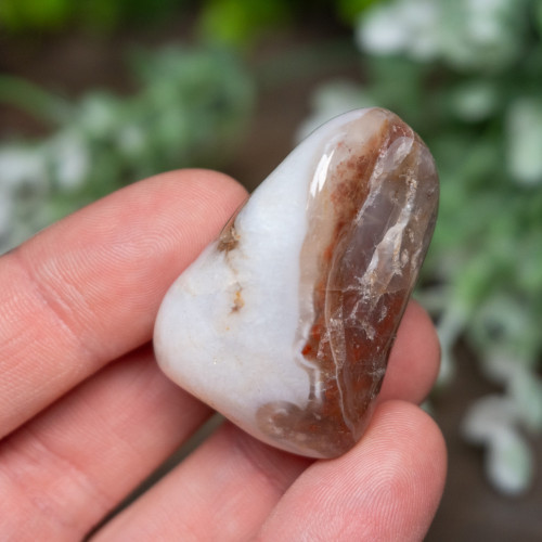 Pilbara Agate Polished #3