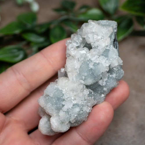 Apophyllite Raw #1