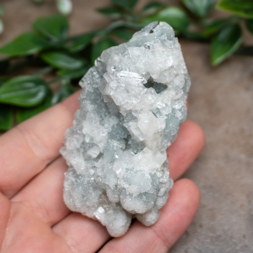 Apophyllite Raw #1