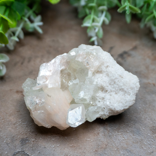 Green Apophyllite with Stilbite #2