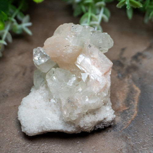 Green Apophyllite with Stilbite #2