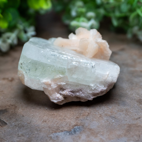 Green Apophyllite with Stilbite #1