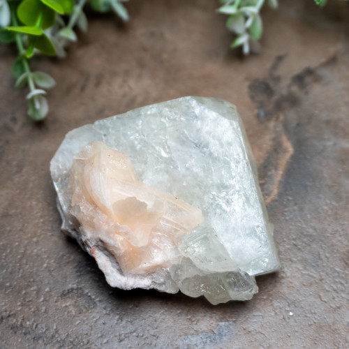 Green Apophyllite with Stilbite #1