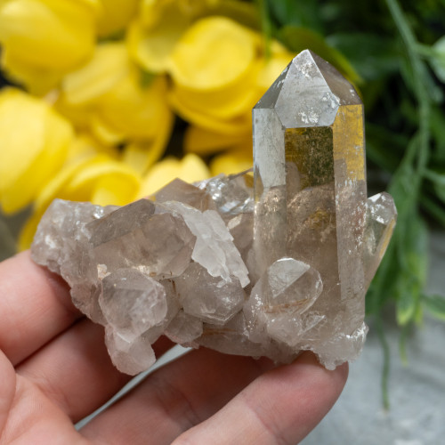 Citrine and Quartz with Rutile Inclusions #1