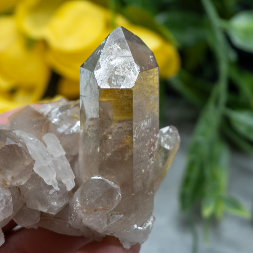 Citrine and Quartz with Rutile Inclusions #1