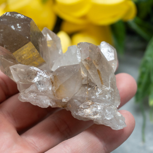 Citrine and Quartz with Rutile Inclusions #1