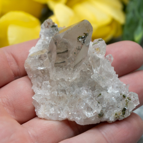 Quartz with Epidote Inclusions #1