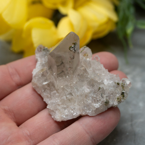 Quartz with Epidote Inclusions #1