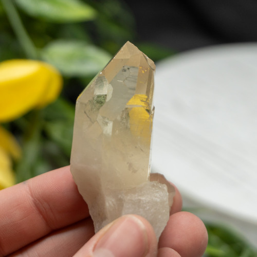 Natural Raw Citrine Triple Point #1