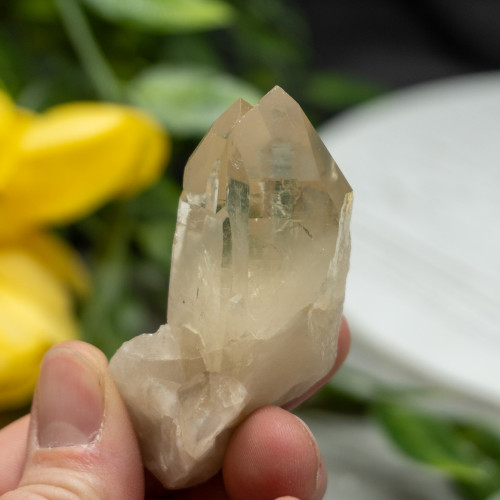 Natural Raw Citrine Triple Point #1