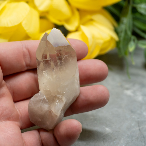 Natural Raw Citrine Triple Point #1