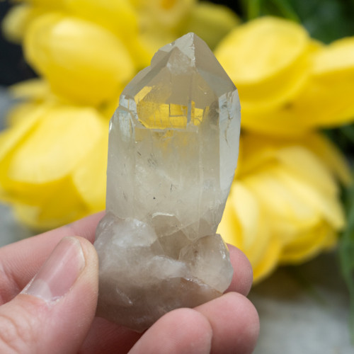 Natural Raw Citrine Triple Point #1