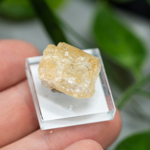 Imperial Topaz #3