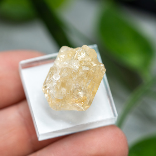 Imperial Topaz #3