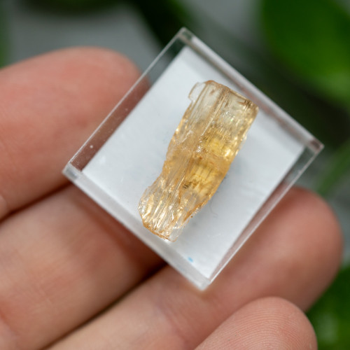 Imperial Topaz #2