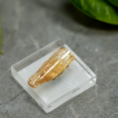 Imperial Topaz #2